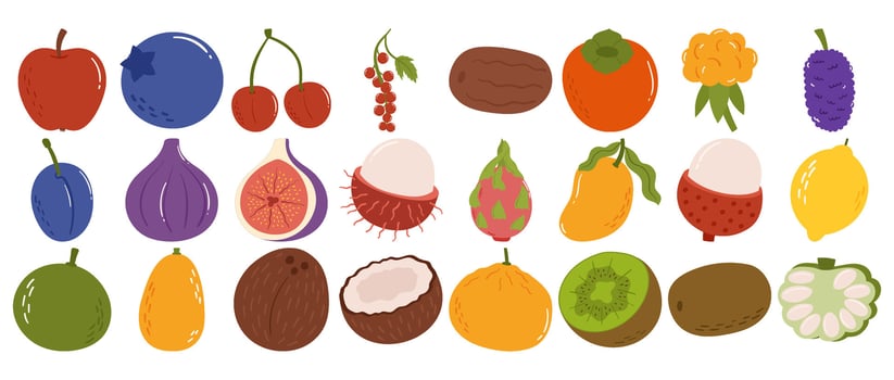 Colorful Hand-Drawn Fruit Collection with Exotic and Tropical Fruits in a Modern Flat Style vector