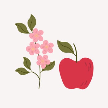 Red Apple and bloom apple Branch illustration on isolated background. Hand drawn fruit harvest and blossom plant. Design element for print, paper, sign, card, label. Food, seasons and nature vector