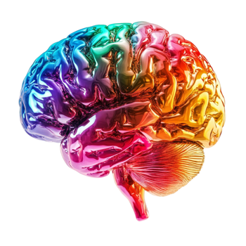 Colorful Artistic Brain Illustration on Transparent Background png