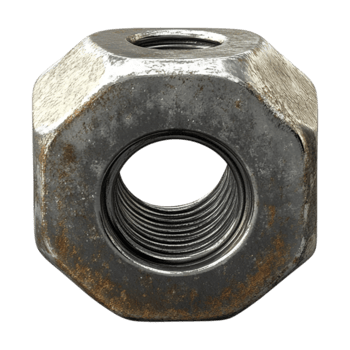 a nut on a transparent background png
