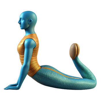 stunning minimalist Yoga Pose Cobra Pose Isolated original png