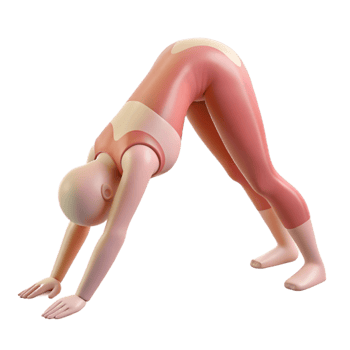 elegant traditional Yoga Pose Downward Dog Silhouette Cutout high quality png