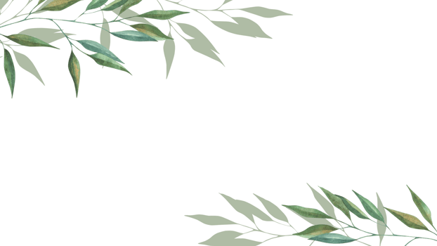 Frame with hand-drawn green branches of herbs. Perfect for wedding, birthday, seasonal holidays. png