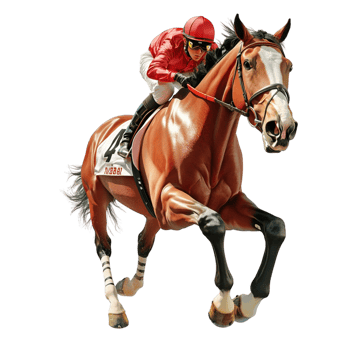 Skilled jockey riding a powerful brown horse in full stride png