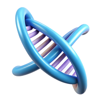 beautiful abstract A Dna Double Helix Unwinding Revealing It professional png