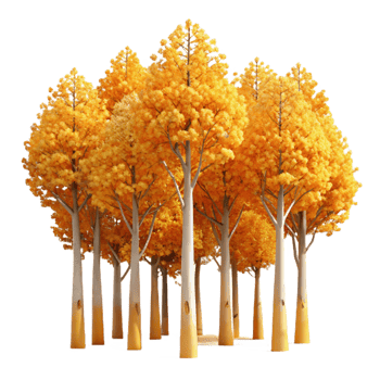dramatic modern A Grove of Aspen Trees with Golden Leaves professional png