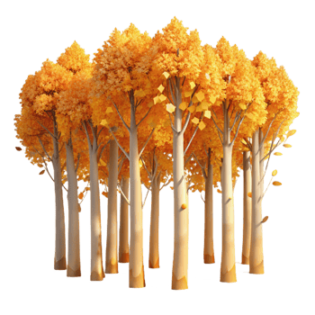 wonderful minimalist A Grove of Aspen Trees with Golden Leaves premium png