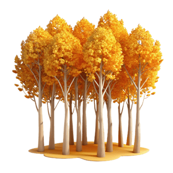 impressive classic A Grove of Aspen Trees with Golden Leaves detailed png