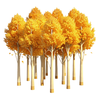 extraordinary contemporary A Grove of Aspen Trees with Golden Leaves high resolution png