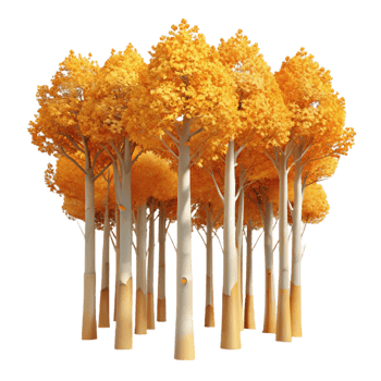 extraordinary classic A Grove of Aspen Trees with Golden Leaves detailed png
