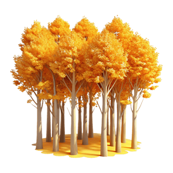 impressive modern A Grove of Aspen Trees with Golden Leaves original png