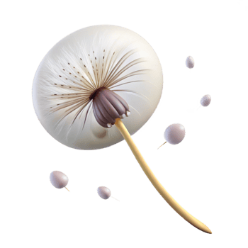 dramatic abstract A Single Dandelion Seed Floating in the Wi high resolution png