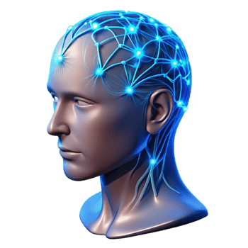 magnificent contemporary A Transparent Human Head with Visible Ne original png