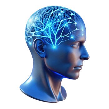 impressive minimalist A Transparent Human Head with Visible Ne 4K png