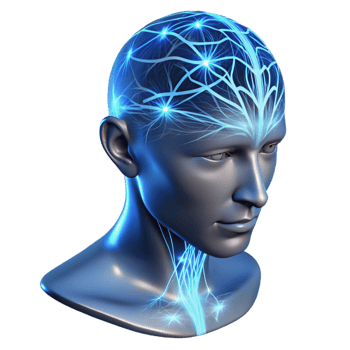 vibrant rustic A Transparent Human Head with Visible Ne detailed png