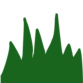 hand drawn grass illustration vector