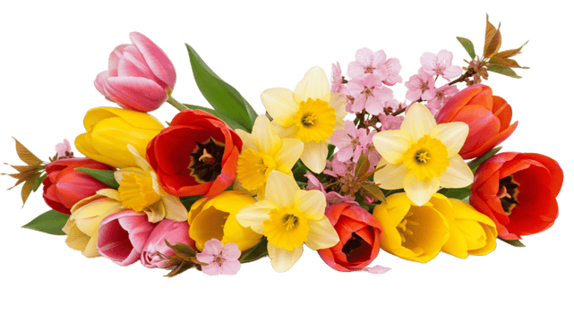 Spring Flowers on a Transparent Background png