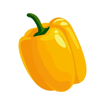 Sweet yellow fresh pepper illustration of ripe vegetable on white background, capsicum pepper vector