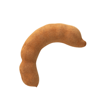 Tamarind pod with smooth, brown exterior, showcasing its unique shape and texture png