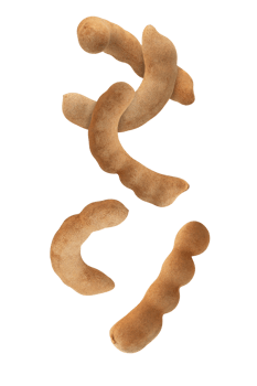 Tamarind pods arranged artistically on transparency background, showcasing their unique shapes and textures png