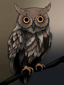 Illustration of owl on branch vector