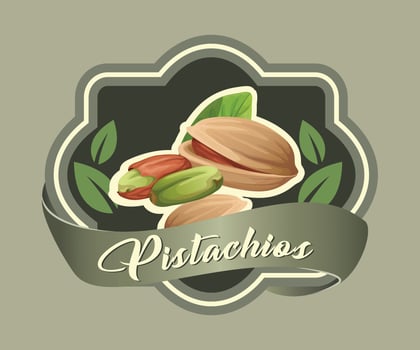 colored sticker with pistachios nut on olive background vector