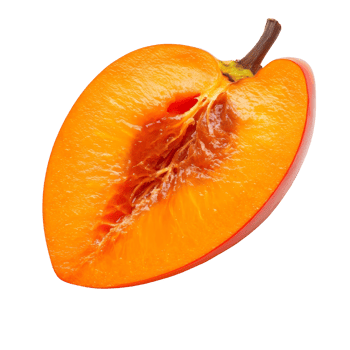 Fresh persimmon slice showcasing vibrant orange flesh isolated on a clean transparent background, persimmon slice isolated on transparent background png