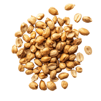 Roasted tigerstripe beans displayed on a transparent surface showcasing their unique texture and color, roasted peanuts thai name is tigerstripe beans isolated on transparent background png
