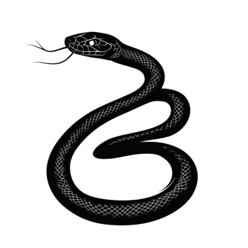 Isolated black snake silhouette coiled on a transparent background highlighting its distinct features and shape, Snake silhouette. Isolated snake isolated on transparent background png