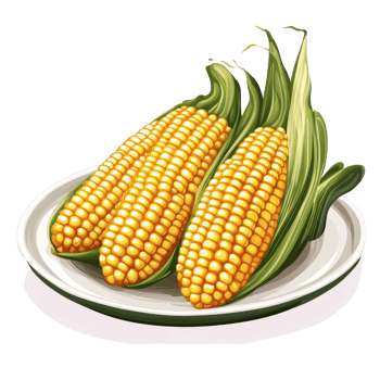 Freshly harvested corn on a plate with green leaves placed on a transparent background in a natural light setting, Popcorn in plate on transparent background png