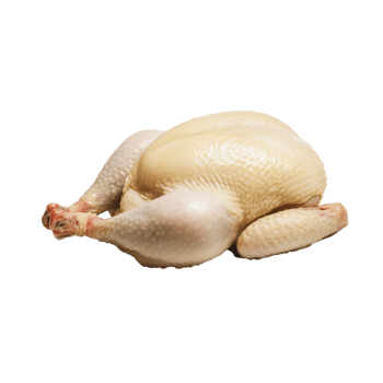 Whole raw chicken isolated on a transparent background ready for meal preparation or culinary use in the kitchen, Isolated whole raw chicken png