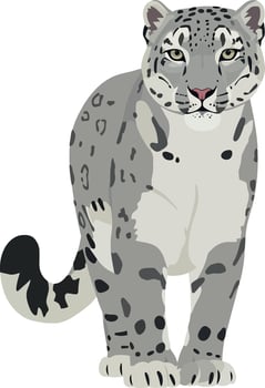 Snow leopard standing proudly in a natural pose showcasing detailed flat design style art vector