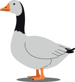 A detailed illustration of a standing grey goose with an orange beak and black neck showcasing a minimal design style vector