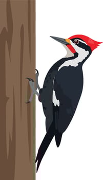 Pileated woodpecker perched on a textured tree trunk in a detailed flat design style art vector
