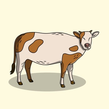 cow cartoon isolated on white vector