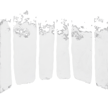 Silhouettes of tall trees against a stark transparent background at dusk provide a striking contrast in natures beauty, trees silhouettes png