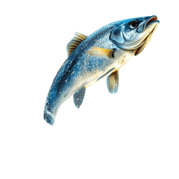 Realistic fish leaping out of water in a dynamic display on a clear transparent background, Realistic Fish Leaping Out of Water Isolated on transparent background png