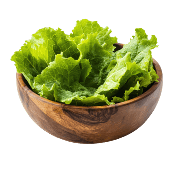 Fresh lettuce leaves in a wooden bowl on a transparent background ready for salads and healthy meals, Lettuce leaves in wood bowl isolated on transparent background png