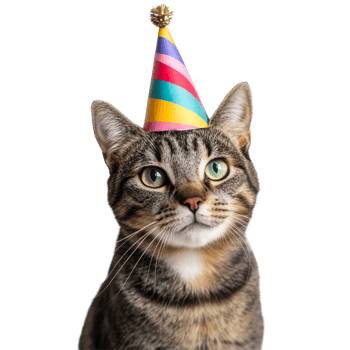 Tabby cat wearing a colorful party hat against a transparent background celebrating a joyful occasion, Tabby Cat with Colorful Party Hat on transparent background png