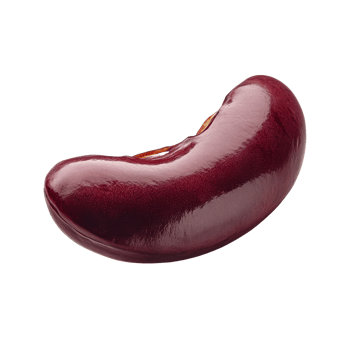 Single red kidney bean isolated on a clean transparent background, showcasing its glossy texture and natural color, Red bean isolated on transparent background png