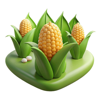 wonderful traditional Corn Field Landscape Transparent professional png
