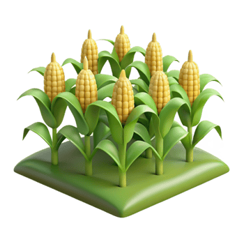 vibrant minimalist Cornfield Isolated with Rows of Stalks high quality png