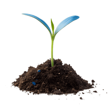 Fantasy Blue Plant Sprout with Fresh Leaves in Soil on Transparent Background png