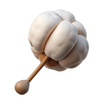 elegant minimalist Cotton Swab Sterile Packaging Isolated premium png