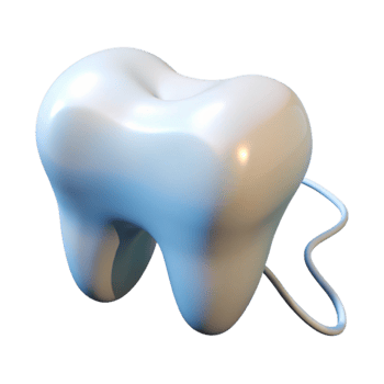 serene contemporary Dental Floss Isolated on Transparent Background genuine png