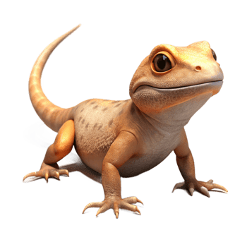 extraordinary abstract Desert Lizard Basking in Sun Isolated high quality png