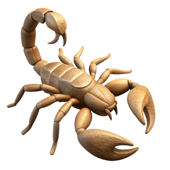 elegant modern Desert Scorpion Silhouette Isolated premium png