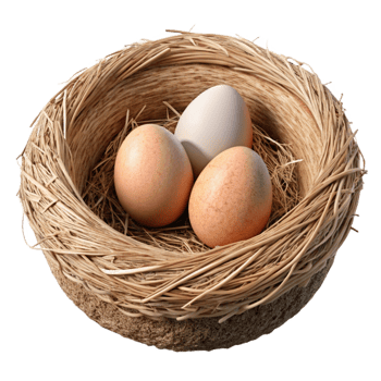 elegant contemporary Detailed Bird Nest Cutout professional png