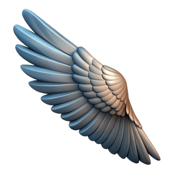 wonderful contemporary Detailed Bird Wing in Flight Transparent Background authentic png