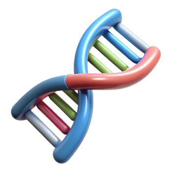 vibrant classic Dna Strand Double Helix Structure Isolated high quality png